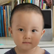 智元001